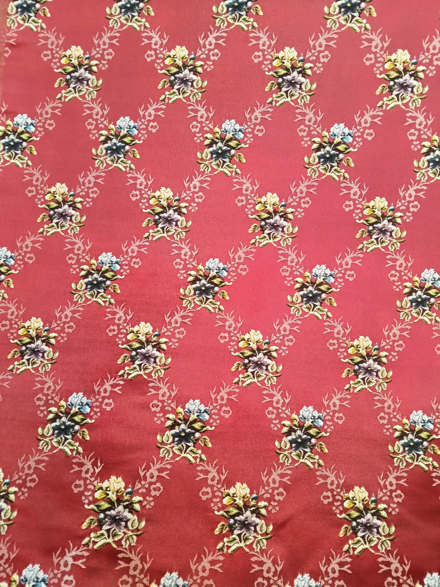 Lolita