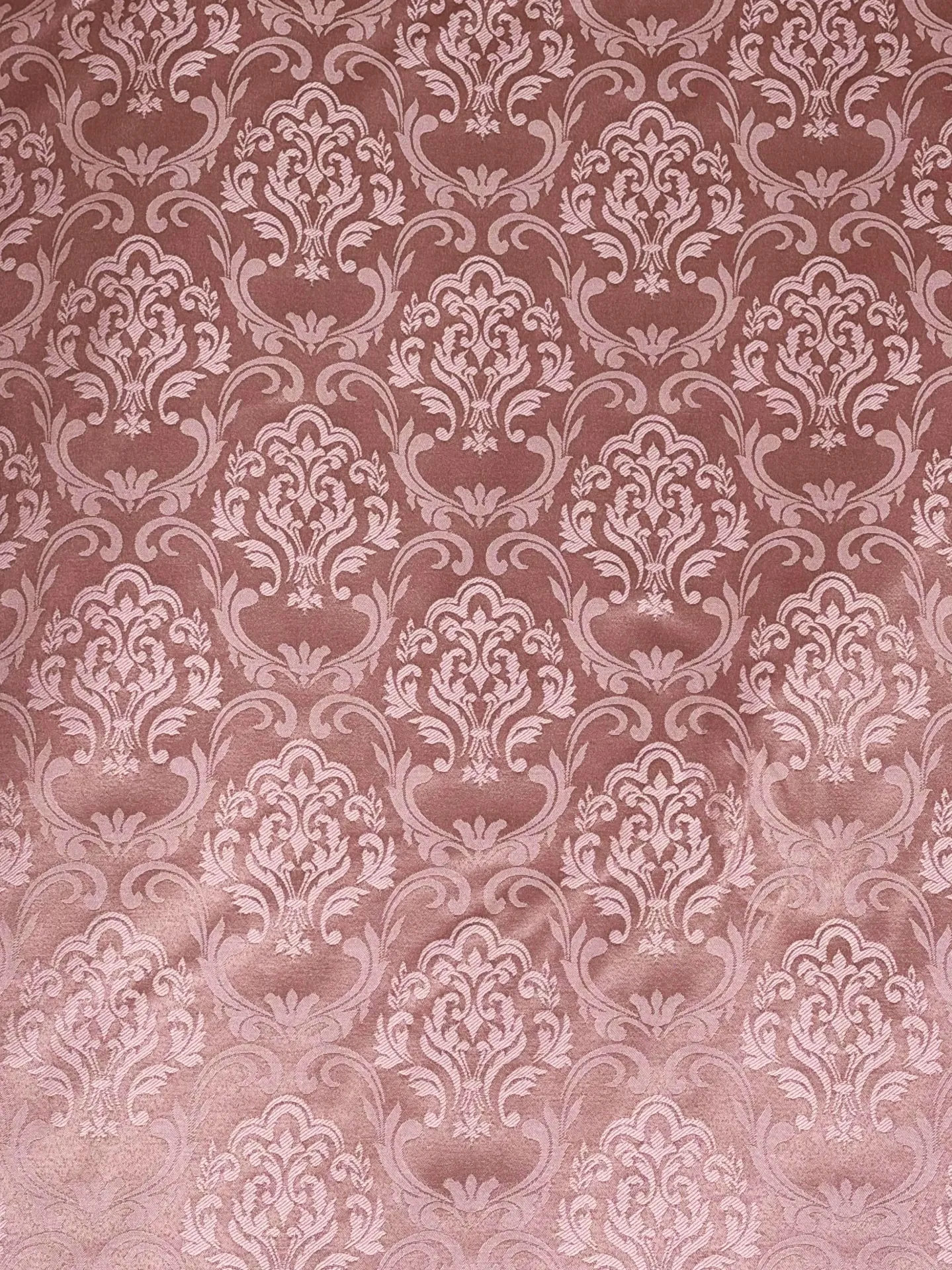 Pompeya (Rosa Oporto)